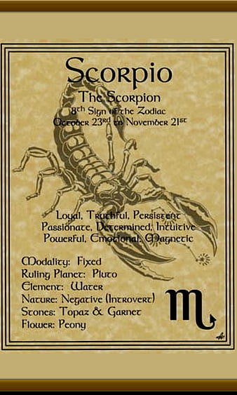 TheScorpion, scorpio, zodiac, HD phone wallpaper | Peakpx
