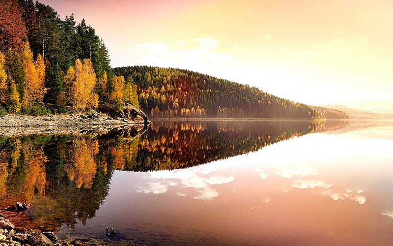 autumn, lake, forest, autumn landscape, Germany, Ore Mountains, Erzgebirgskreis, HD wallpaper