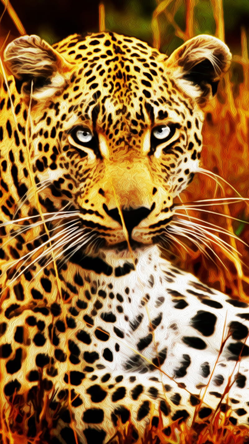 Jaguar, animal, salvaje, Fondo de pantalla de teléfono HD | Peakpx