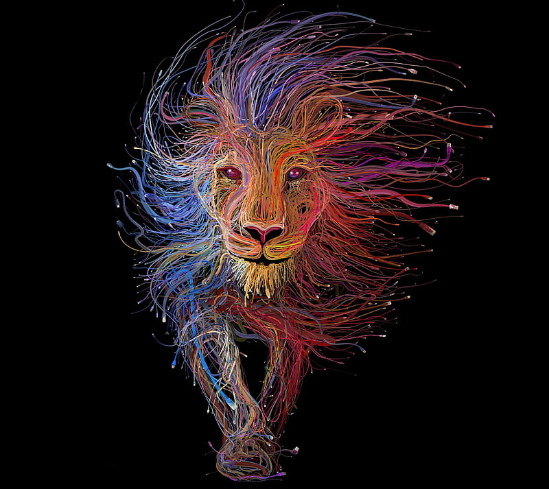Lion King, abstract, art, HD wallpaper