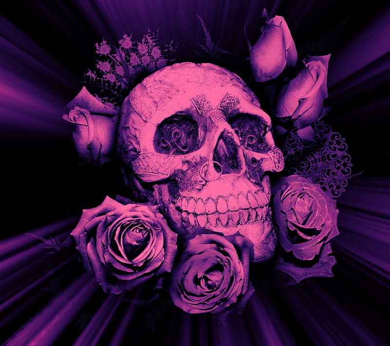 Skull and Roses, skull and, HD wallpaper