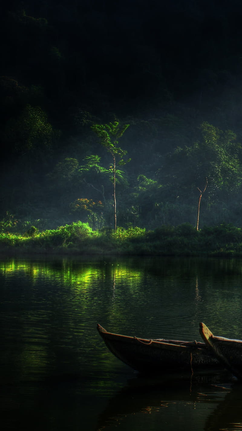Dark forest, boats, dark, forest, green lake, light, nature, HD phone wallpaper