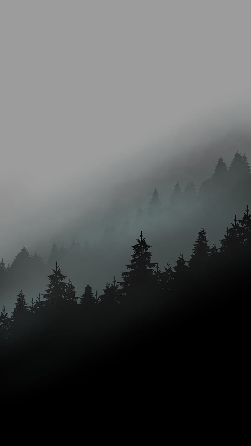 foggy mountains, black, forest, white, HD phone wallpaper