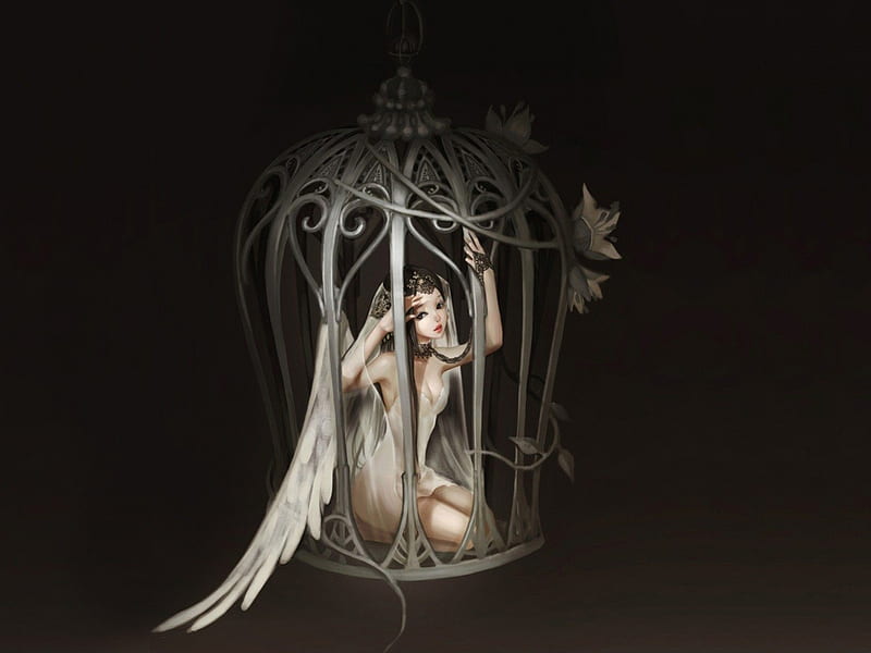 Caged Angel, wings, cage, anime, angel, caged, sad, HD wallpaper