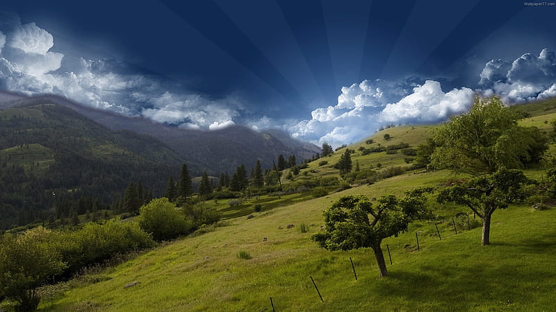Hilltop, sunrays, grass, trees, sky, hill, landscape, HD wallpaper