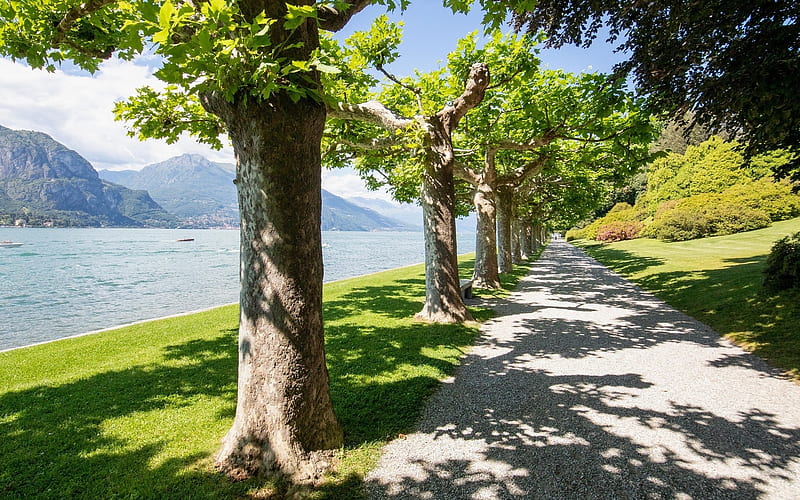 Promenade by Lake, line, promenade, walkway, Italy, mountains, trees, lake, HD wallpaper