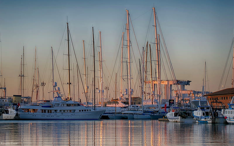 Sailboats in Spain, Spain, sailboats, yachts, Mallorca, island, harbor, HD wallpaper