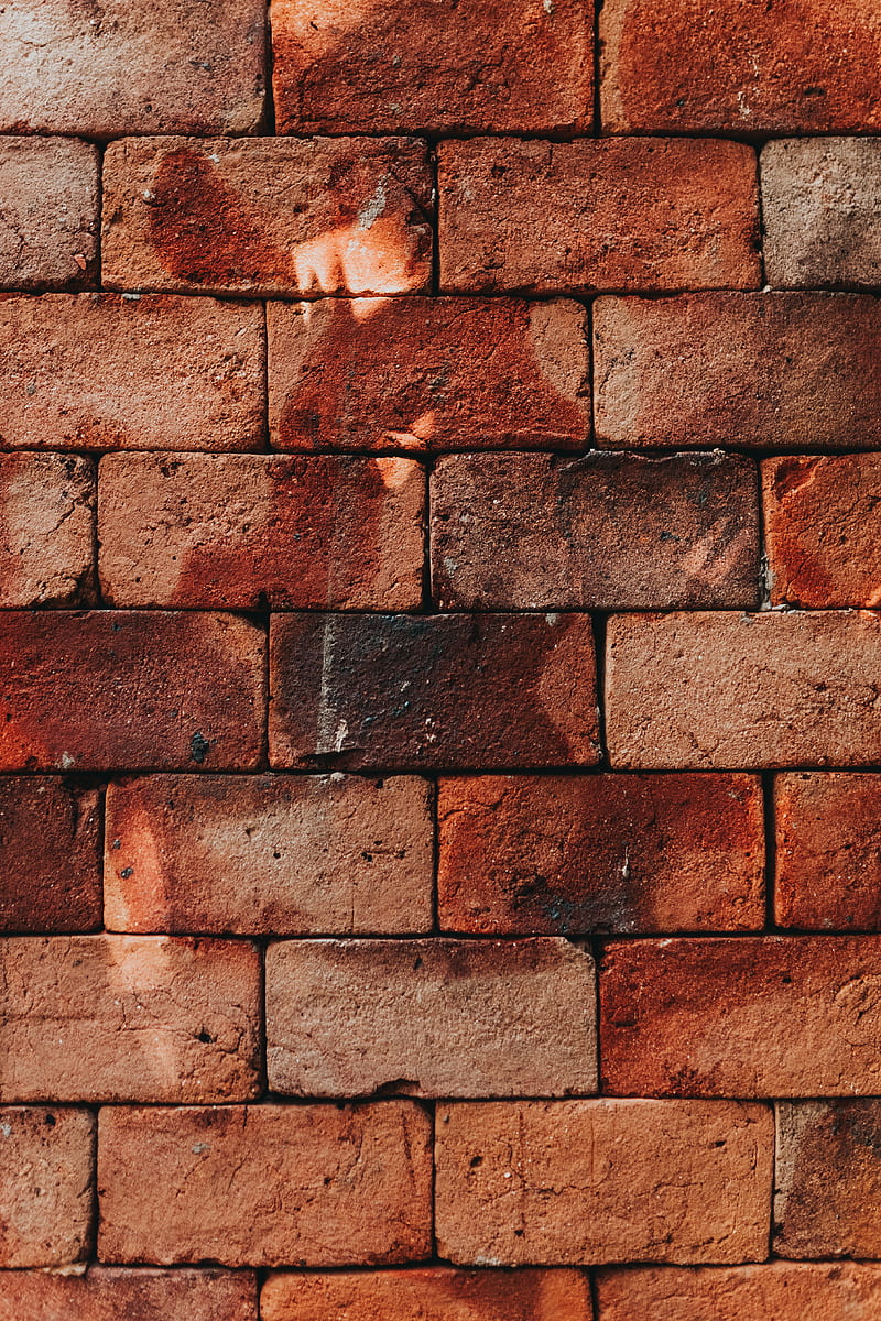Shabby brick wall in sunny day, HD phone wallpaper