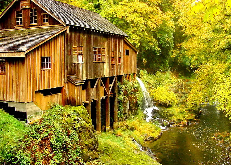 Forest mill, stream, autumn, grass, mill, yellow, bonito, bushes, leaves, nice, calm, grist, water mill, forest, lovely, view, greenery, floating, creek, trees, water, peaceful, summer, nature, wooden, HD wallpaper