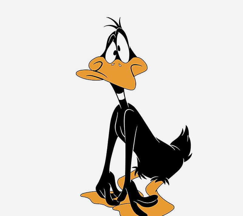 Daffy Duck, cartoon, creation, drawing, entertainment, fun, funny, humor, laugh, looney tunes, HD wallpaper
