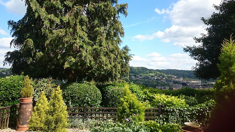 A Garden View, City Centre, Gadren, View, Bath, HD wallpaper