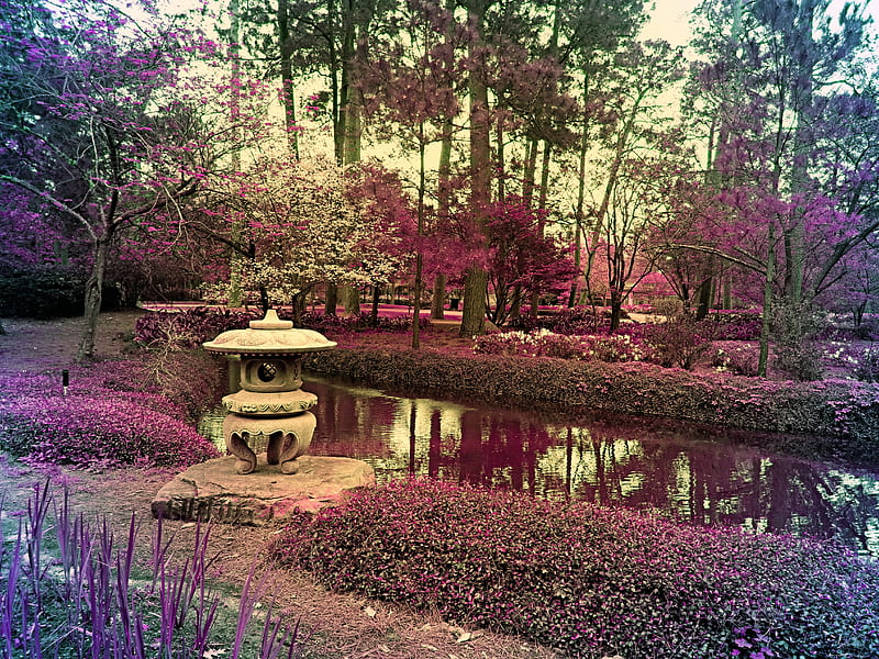 Zen Garden, japanese, nature, peace, peaceful, relax, landscape, water, brook, HD wallpaper