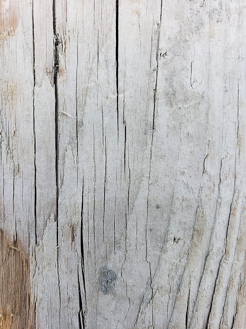 Old wood , cimbra, construction, madera, papers, process, stone, wall, HD phone wallpaper
