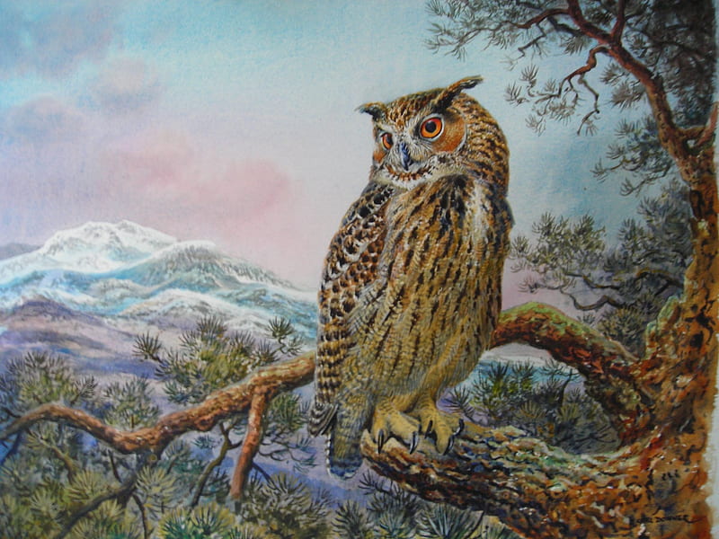 Great Owl, owl, nature, bird, paint, HD wallpaper