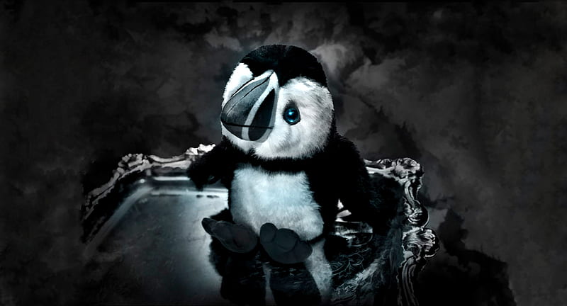 Penguin, little, adorable, animal, sweet, cute, comic, epic, dark, HD wallpaper
