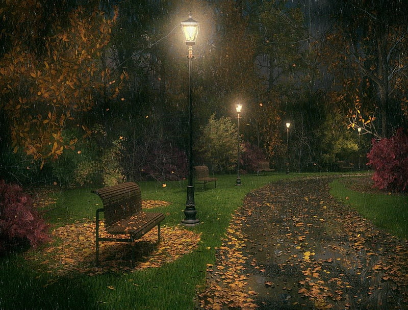 Autumn night, red, autumn, black, park, tree, green, bank, nature, rain, light, night, HD wallpaper