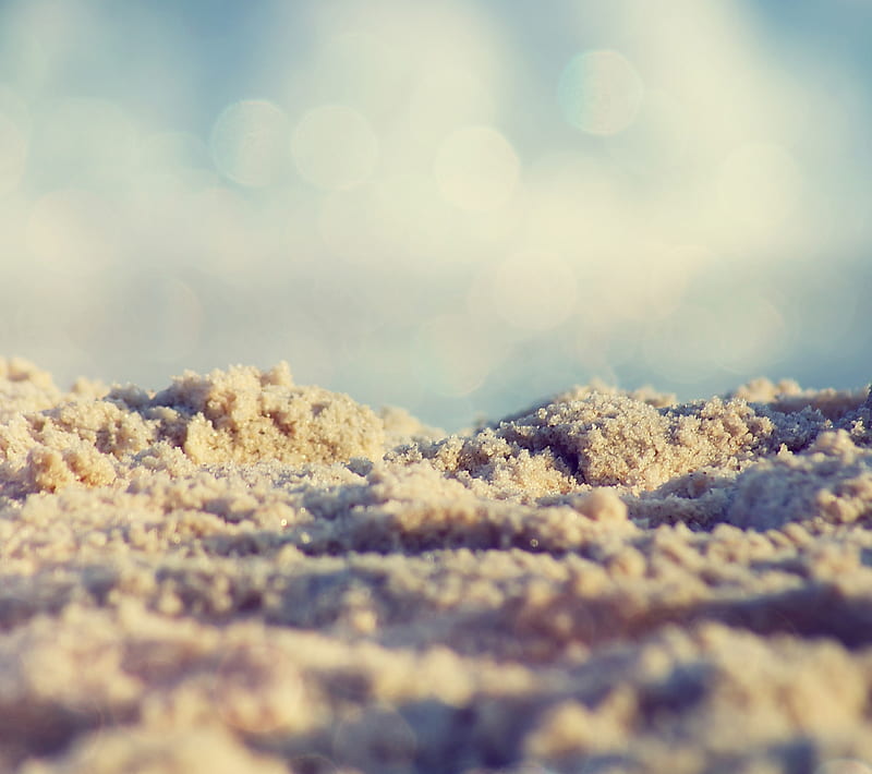 Online Crop | HD Wallpaper: Sand, Beach, Background, Board, Star, Shell