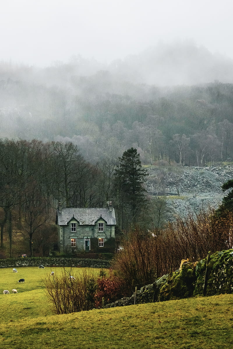 house, fog, grass, landscape, village, HD phone wallpaper