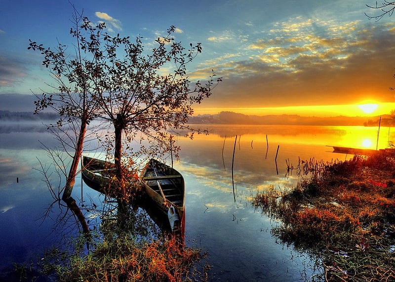 Lake at sunrise, glow, shore, grass, bonito, sunset, clouds, mirrored ...