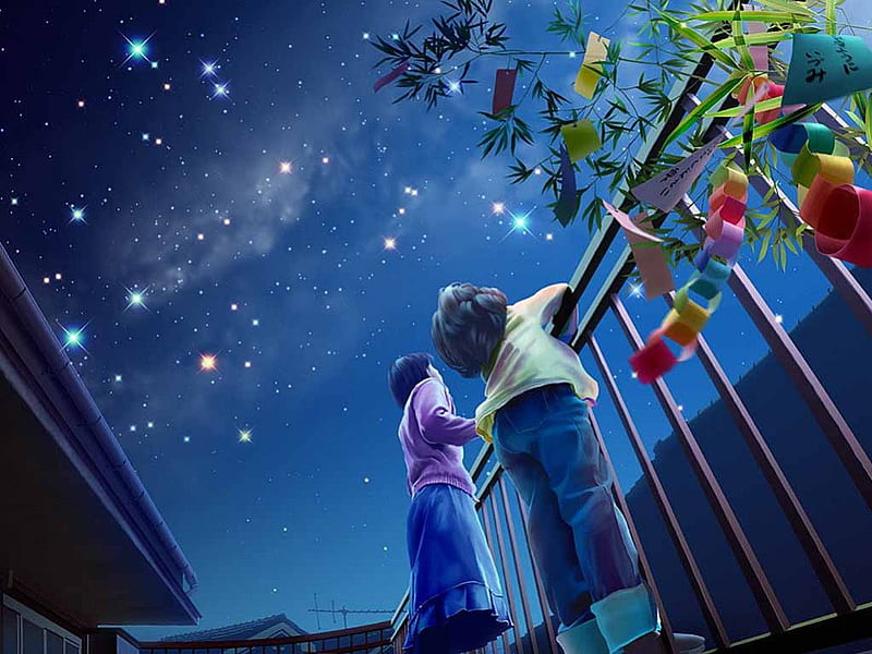 Star Gazing, stars, rail, children, flowers, sky, night, HD wallpaper