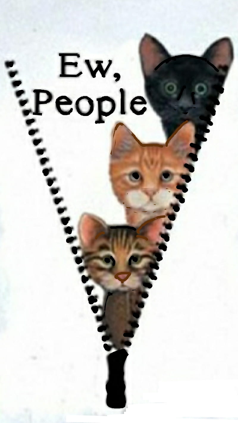 EEwwww, cats, cuddly, cute, kittens, pet, sweet, zipper, HD phone wallpaper