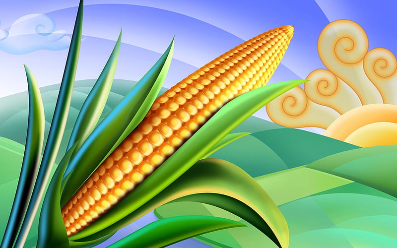 Corn on the Cob, corn, 3d, food, cg, HD wallpaper