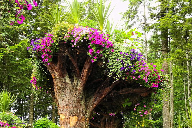 UPSIDE DOWN TREE STUMP, pretty, flowers, tree, stump, HD wallpaper