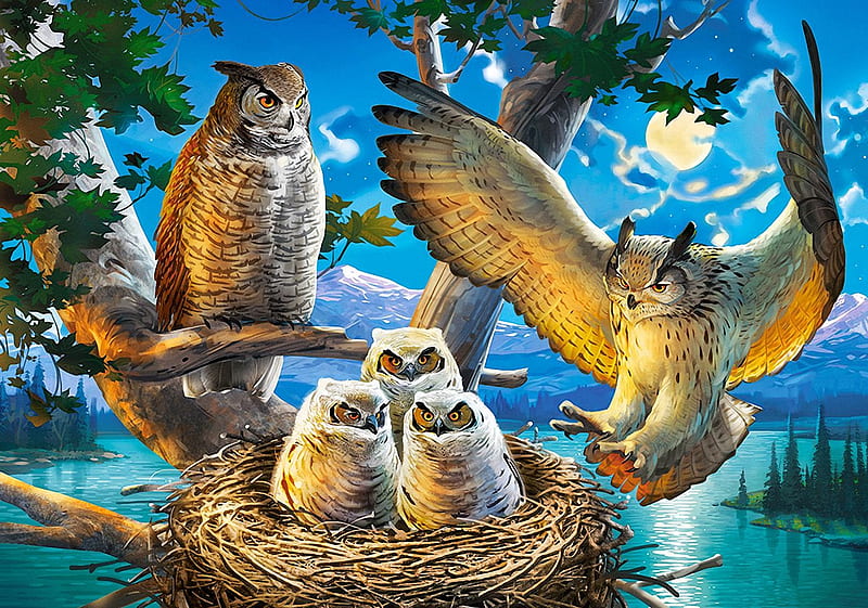 Owl Family, painting, tree, chicken, nest, birds, HD wallpaper