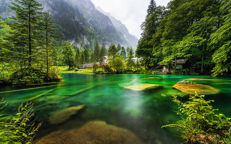 Swiss nature, summer, forest, lake, mountains, Switzerland, Europe, beautiful nature, HD wallpaper