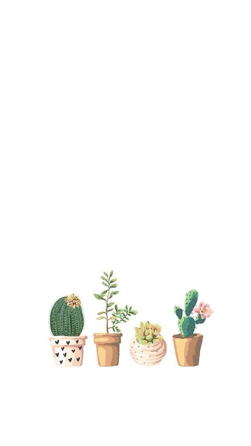 immagine scoperto da, Simple Plant Aesthetic, HD phone wallpaper