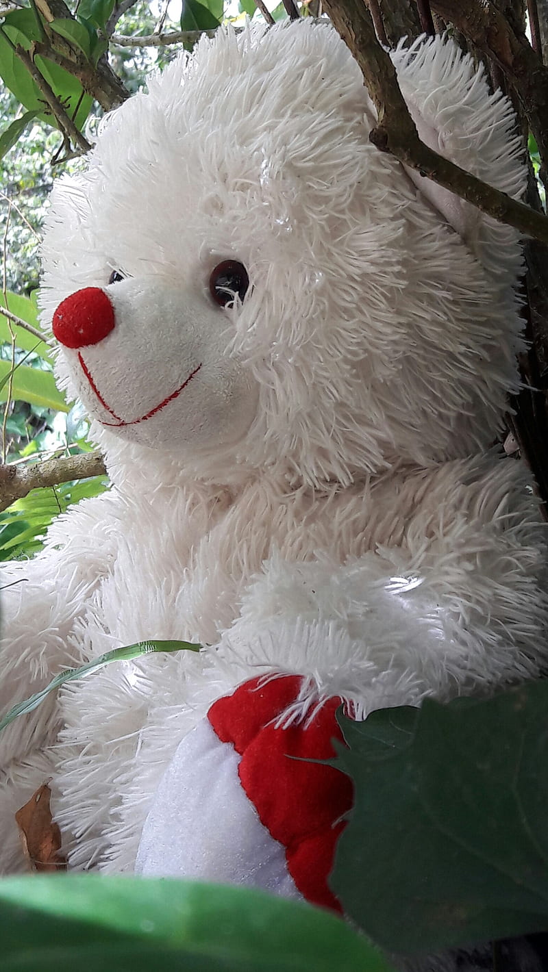 Teddy Bear, cute, green, nature, red, smile, white, HD phone wallpaper |  Peakpx