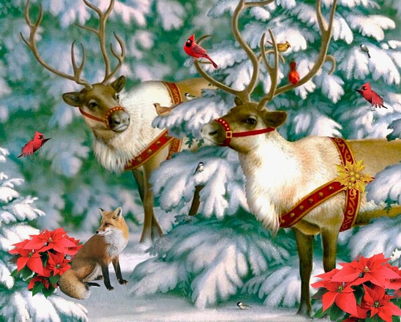 Reindeer Buddies, Reindeer, Branches, birds, winter, cardinals, Poinsettia, fox, snow, Winter holiday, HD wallpaper
