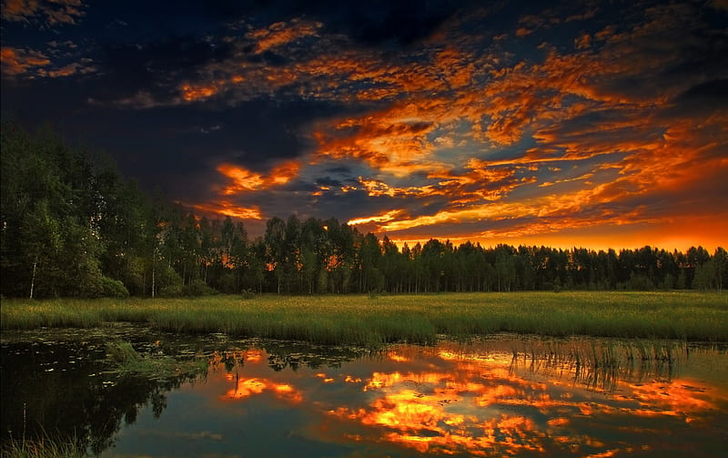 Wonderful Sunset, amazing, sunset, trees, clouds, HD wallpaper | Peakpx