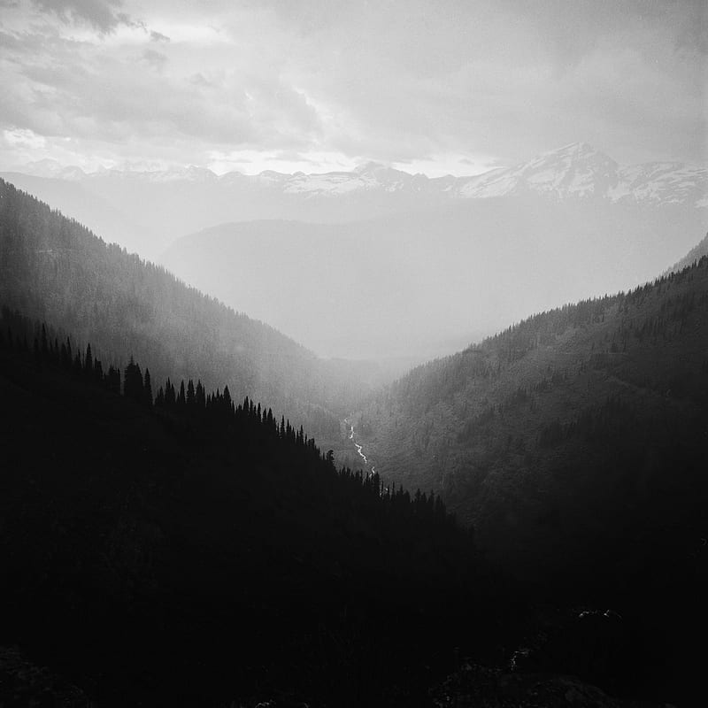 valley, mist, monochrome, trees, mountains, landscape, clouds, HD phone wallpaper