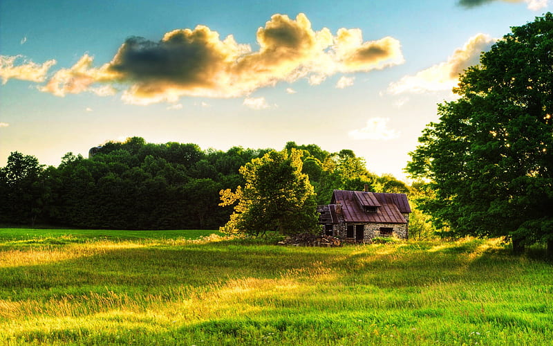 glade home, green, awesome, nature, sunset, forces of nature, HD wallpaper