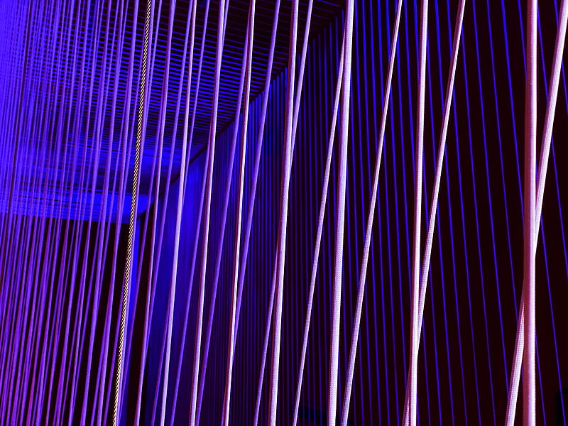 lines, stripes, neon, light, purple, HD wallpaper