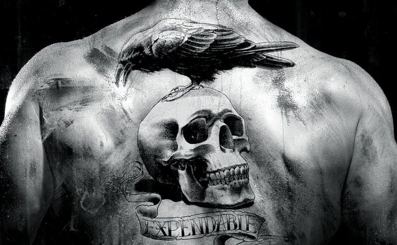 The Expendables, bird, tattoo, black, crow, white, skull, HD wallpaper