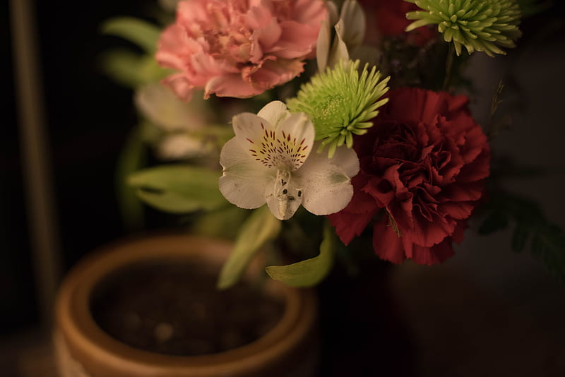 bouquet, flowers, composition, macro, HD wallpaper