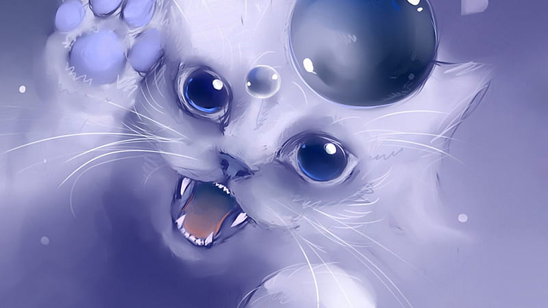 Grumpy Cat, Firefox theme, kitty, big eyes, cat, angry, grumpy, feline, wild, bubbles, blue, HD wallpaper