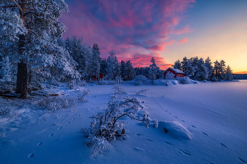 Winter dusk, snow, winter, mountain, dusk, evening, bonito, sunset, HD wallpaper