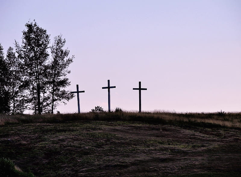 Crosses On A Hill, Trees, Sky, Crosses, Field, graphy, Hill, Nature, HD wallpaper