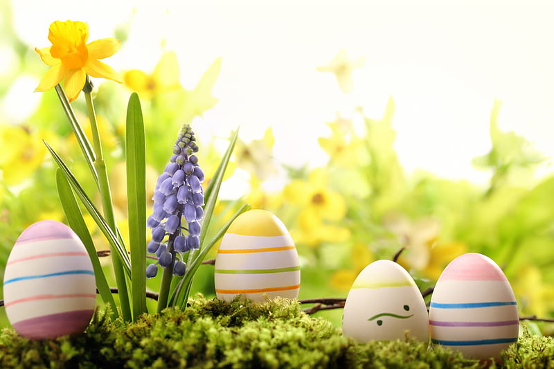 Easter time , colorful, holidays, daffodils, yellow, Easter, special days, eggs, flowers, pastel, HD wallpaper