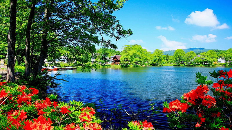 Peaceful Lake, forest, houses, flowers, peaceful, nature, trees, scenery, lake, HD wallpaper