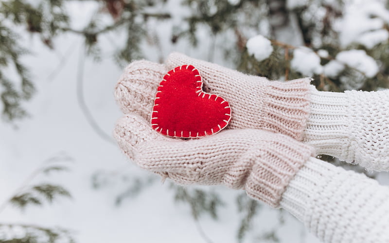 red heart in hands, winter, snow, heart, love concepts, white mittens, HD wallpaper