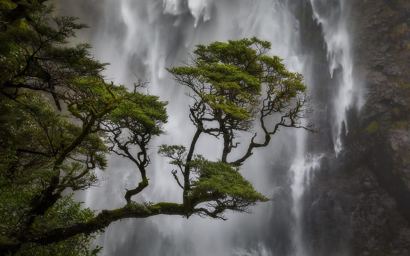beautiful waterfall, forest, water, rocks, Devils Punchbowl Falls, Arthurs Pass national park, New Zealand, HD wallpaper