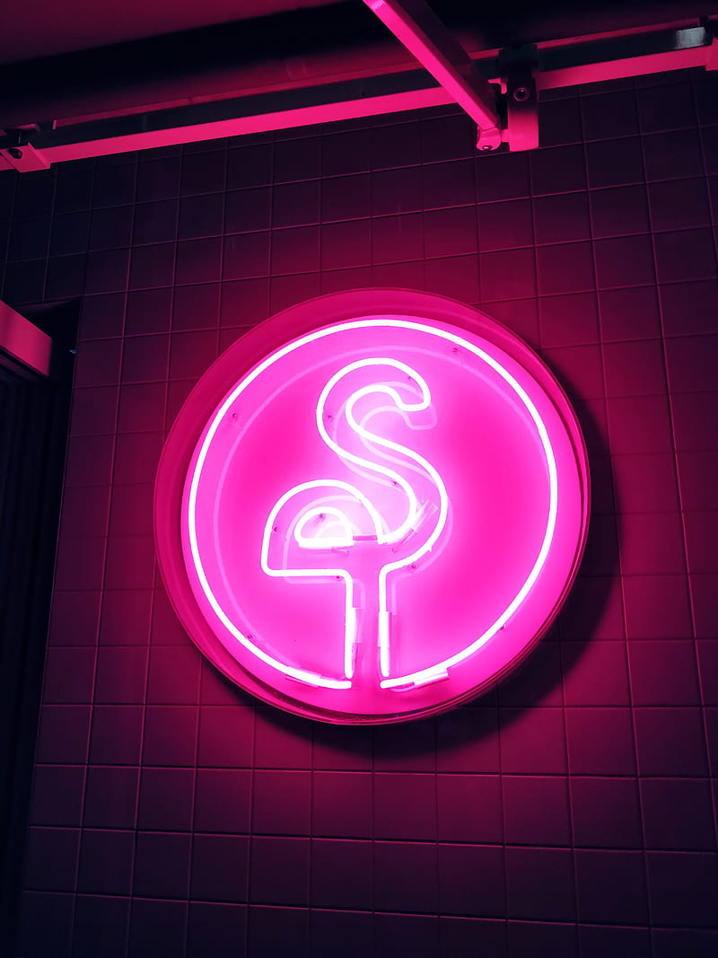 neon, signboard, flamingo, pink, glow, electricity, HD phone wallpaper