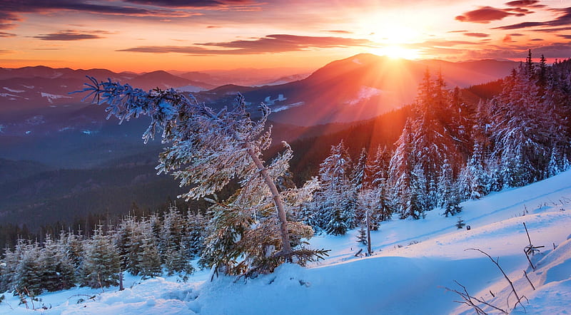Colorful winter morning in the mountains, colorful, view, Carpates ...