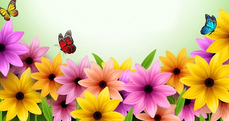 Beautiful and Bright, colorful, butterfly, bright, summer, flowers, spring, Firefox Persona theme, floral, HD wallpaper