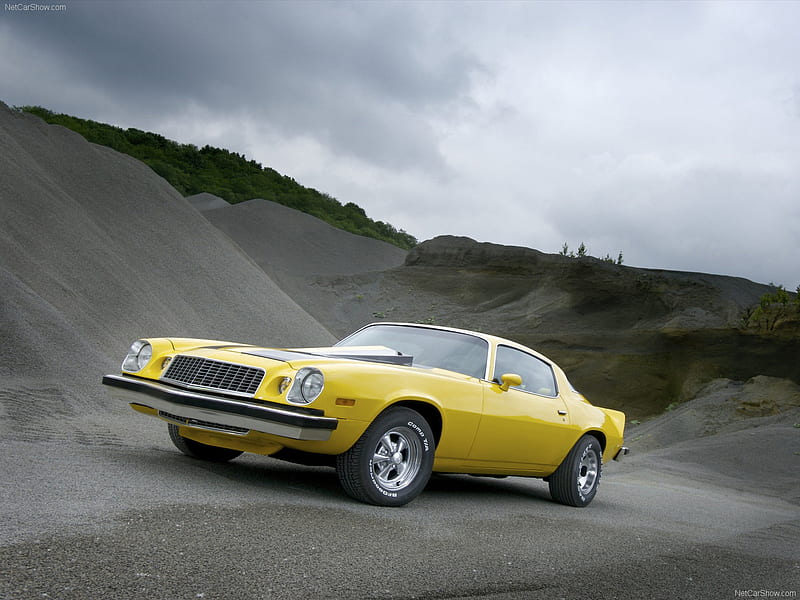 1975 Chevrolet Camaro, 06, 03, 2012, automóvil, 1975, camaro, Fondo de pantalla HD |  Picopx
