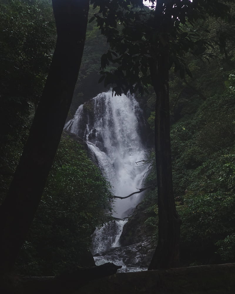 Waterfalls, fall, falls, india, karnataka, mountains, sahyadri, uttarakannada, water, waterfall, western ghats, HD phone wallpaper